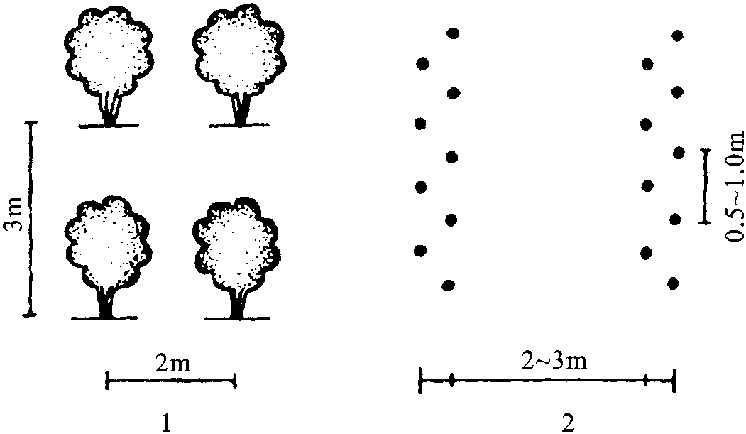 一、栽培模式及技術(shù)